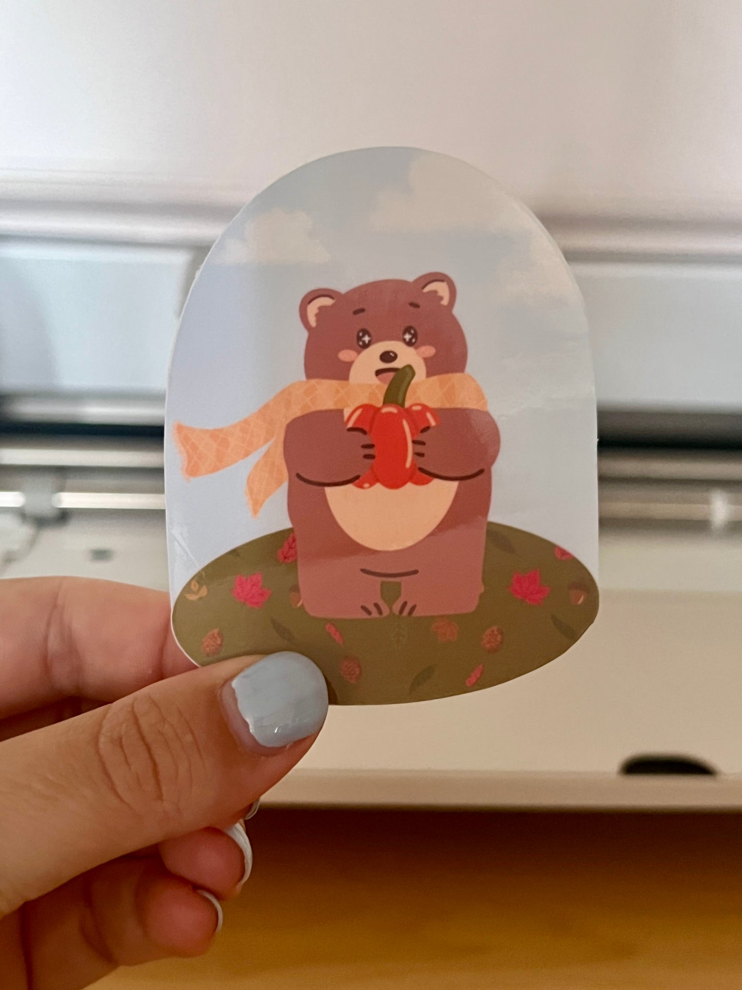 Die-cut sticker being held, of a bear holding a pumpkin and wearing a scarf.
