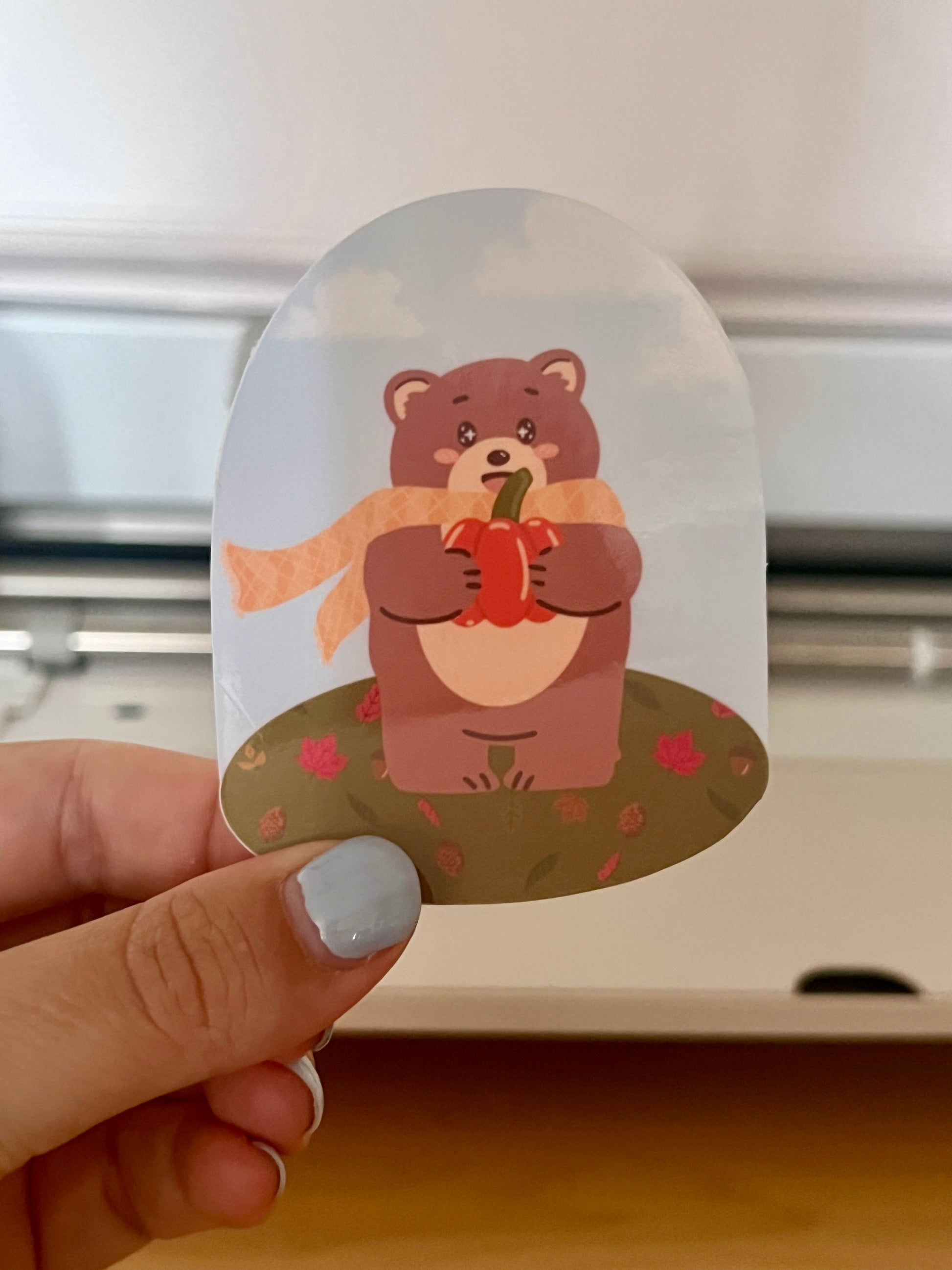 Die-cut sticker being held, of a bear holding a pumpkin and wearing a scarf.