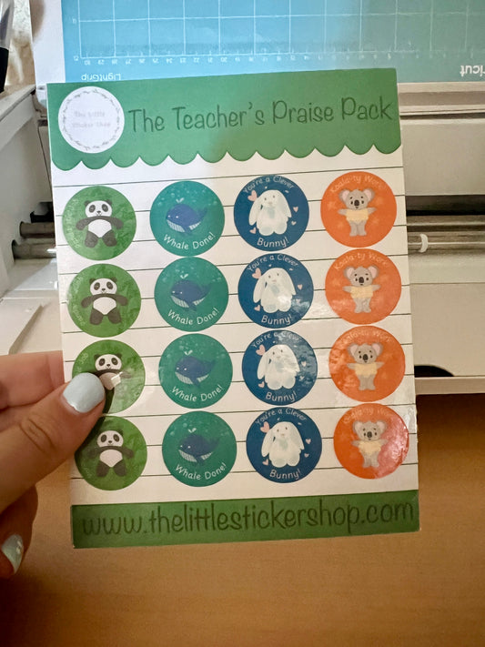 The Teachers Praise Pack Sticker Sheet - Reward Stickers for Students & Classroom Motivation